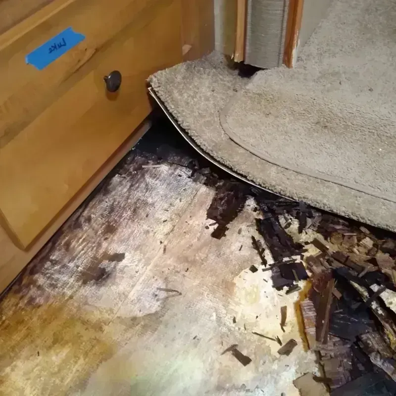 Wood Floor Water Damage in Park City, IL